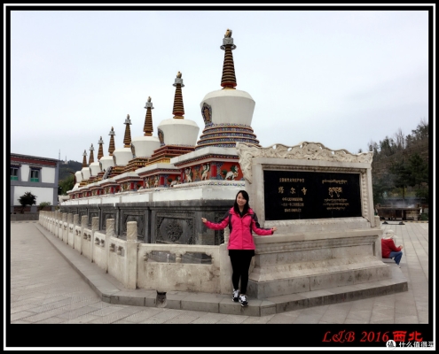 赤峰綠洲沙漠酒店電話號碼多少-第1張圖片