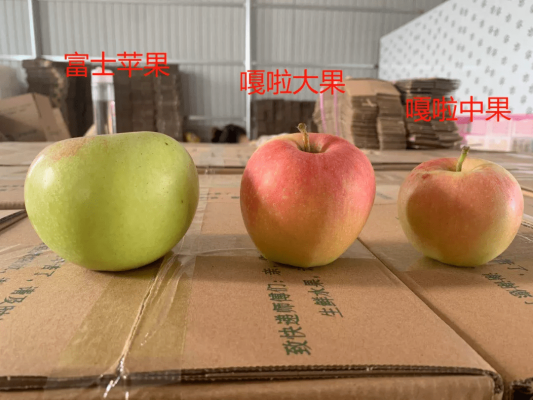 赤峰寧城嘎啦果園電話號碼查詢-第1張圖片