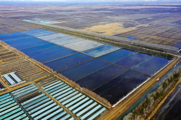 赤峰三畝農(nóng)莊電話多少號(hào)-第1張圖片