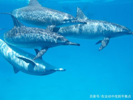 赤峰輝米高時(shí)尚酒店電話號(hào)碼-第1張圖片