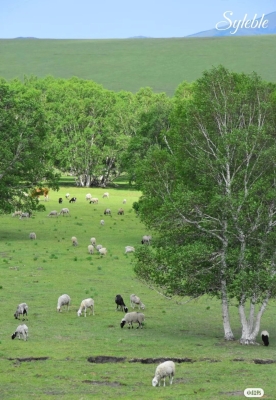 赤峰沐森露營(yíng)基地電話號(hào)碼-第1張圖片
