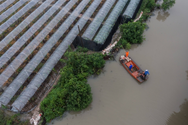 赤峰牛營(yíng)子煙花廠電話號(hào)碼-第1張圖片