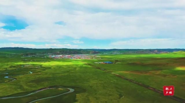 赤峰紹根疫情防控電話號碼-第1張圖片