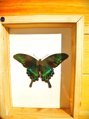 赤峰景點推廣電話是多少號-第1張圖片