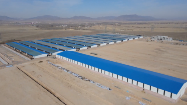 赤峰肉牛屠宰場電話號碼-第1張圖片