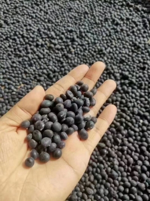 赤峰黑腐竹加工廠電話號碼-第1張圖片