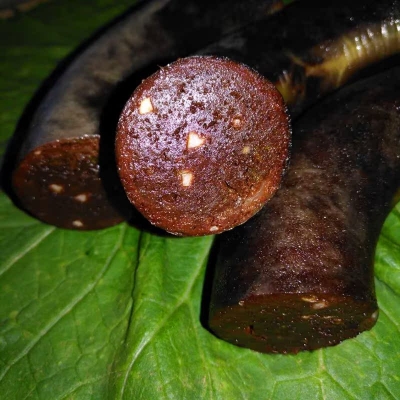 赤峰回收小豬電話地址在哪里-第1張圖片