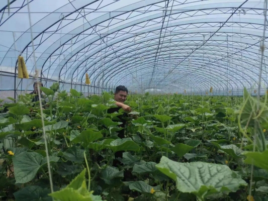 赤峰市養(yǎng)殖大棚出售電話號碼-第1張圖片