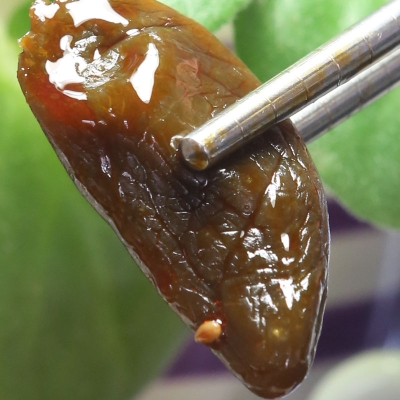 赤峰廢舊醬油廠地址電話(huà)號(hào)碼-第1張圖片