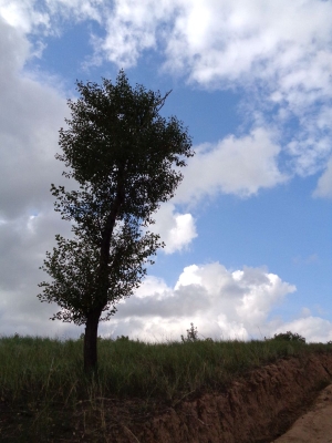 赤峰古都河景區(qū)電話多少號-第1張圖片