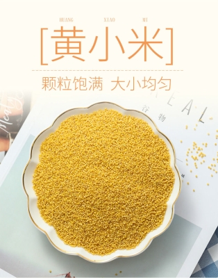 赤峰原生態(tài)小米售后電話號碼-第1張圖片