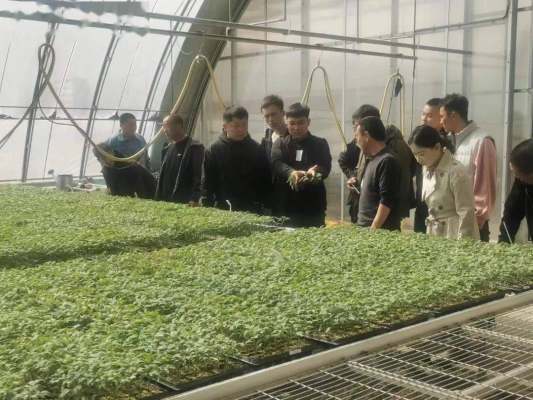 赤峰寧城賣牛肉電話號(hào)碼多少-第1張圖片