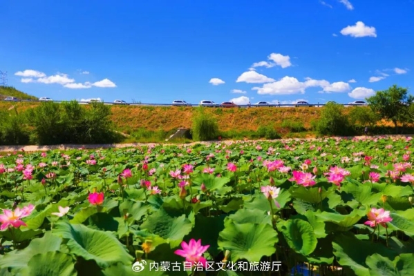 赤峰春天附近有什么-第1張圖片