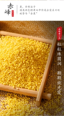 小米赤峰售后地址查詢電話號(hào)碼-第1張圖片