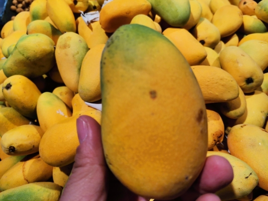 赤峰王胖子水果超市電話號碼-第1張圖片