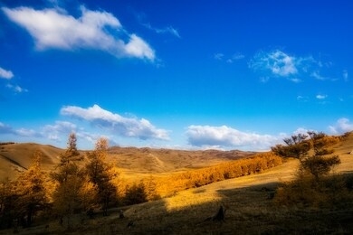 內(nèi)蒙古赤峰包子-第1張圖片