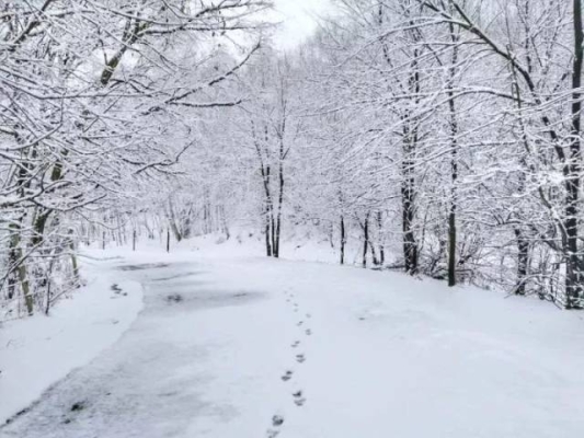 赤峰松山區(qū)永恒酒店電話是多少-第1張圖片