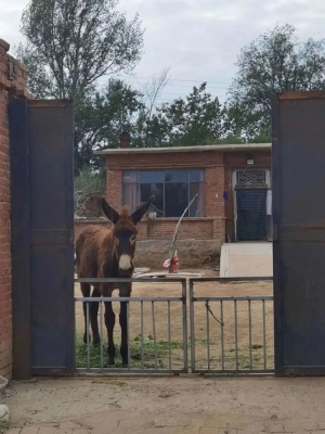 赤峰山地自行車(chē)翻新電話(huà)地址-第1張圖片