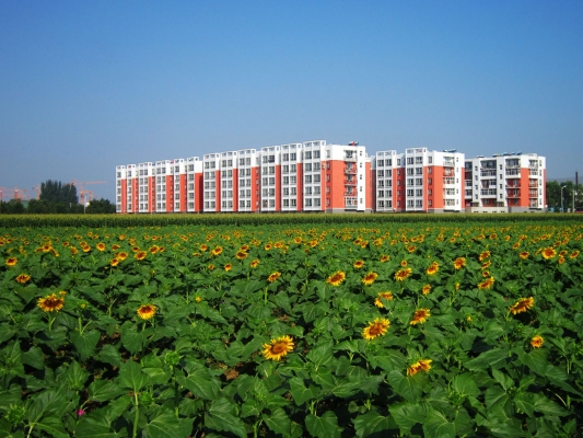 赤峰紅山區(qū)方舟醫(yī)院電話(huà)號(hào)碼-第1張圖片