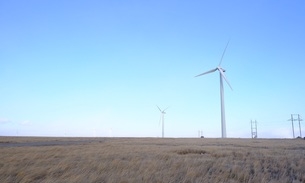 赤峰蜂土工格柵廠家電話號(hào)碼-第1張圖片