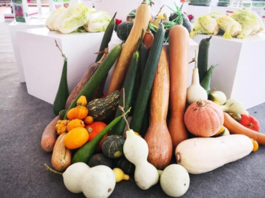 赤峰碩果雙胞胎媽媽電話號(hào)碼-第1張圖片