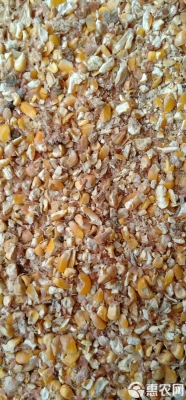 赤峰酒精廠收玉米電話號(hào)碼-第1張圖片