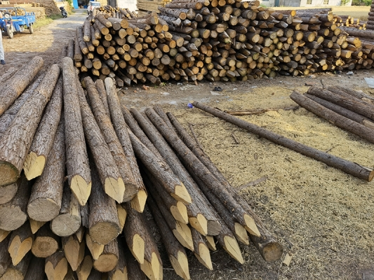 赤峰工業(yè)木托盤廠家電話號碼-第1張圖片