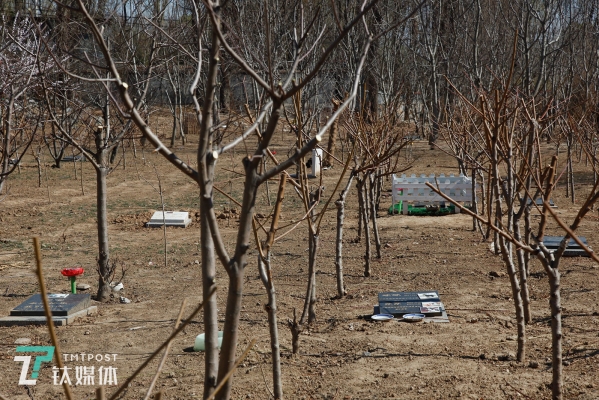 赤峰寵物墓地電話號碼多少-第1張圖片