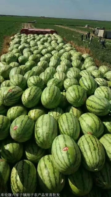 內(nèi)蒙赤峰潤(rùn)滑油代理電話號(hào)碼-第1張圖片