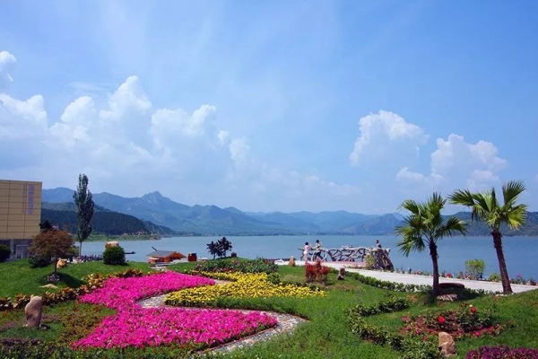 赤峰藍(lán)世界水族箱電話(huà)號(hào)碼-第1張圖片