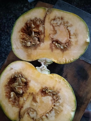 赤峰大媽買菜電話號(hào)碼查詢是多少-第1張圖片