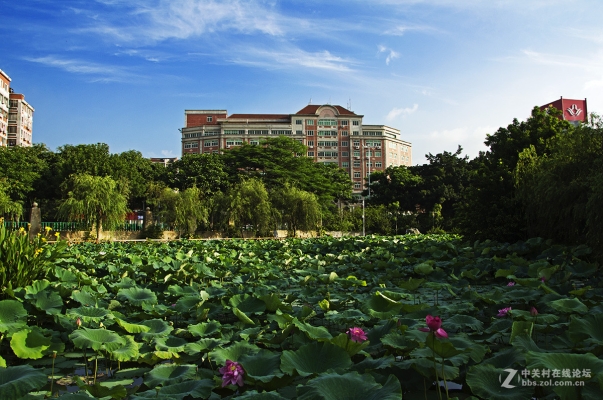 赤峰荷塘盛宴婚宴電話多少號-第1張圖片