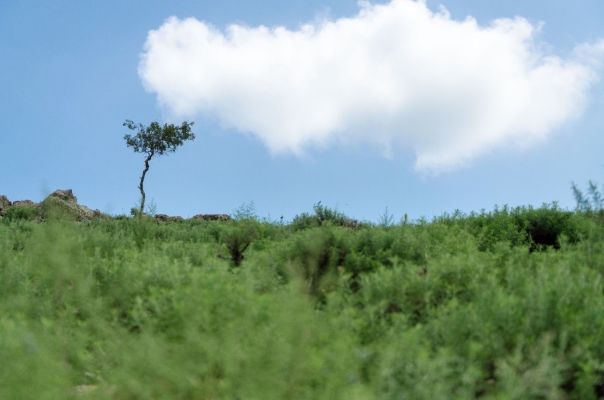 赤峰到中旗拼車電話號(hào)碼-第1張圖片