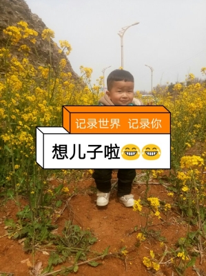 赤峰童車玩具店電話地址查詢-第1張圖片