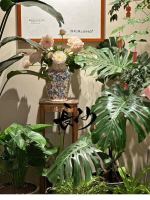 赤峰三顏鮮豬肉館電話號碼-第1張圖片