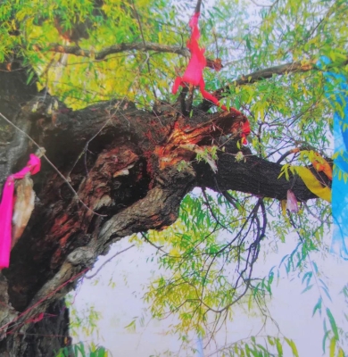 赤峰到樓子店順風(fēng)車電話號碼-第1張圖片