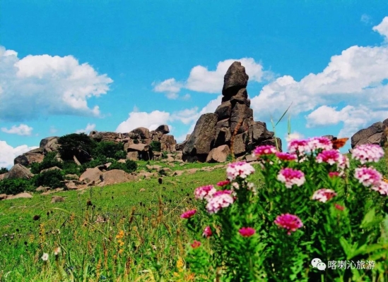 赤峰美林谷防疫站電話號碼-第1張圖片