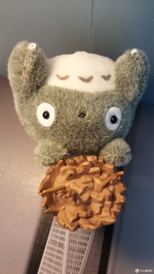 赤峰龍貓買賣電話號碼是多少-第1張圖片