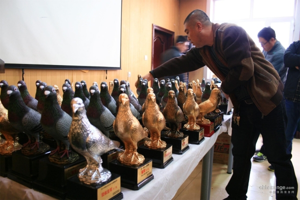 赤峰獎(jiǎng)杯定制地址電話號(hào)碼查詢-第1張圖片