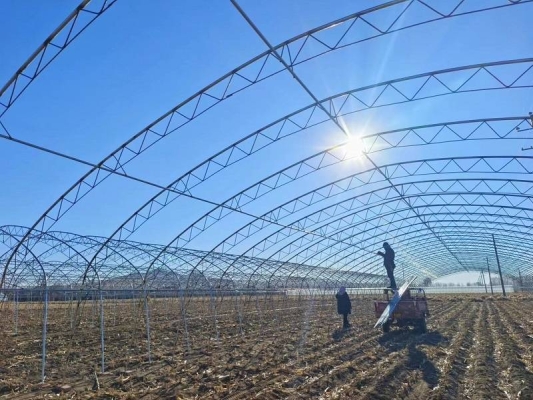 赤峰春棚出租最新信息電話號(hào)碼-第1張圖片