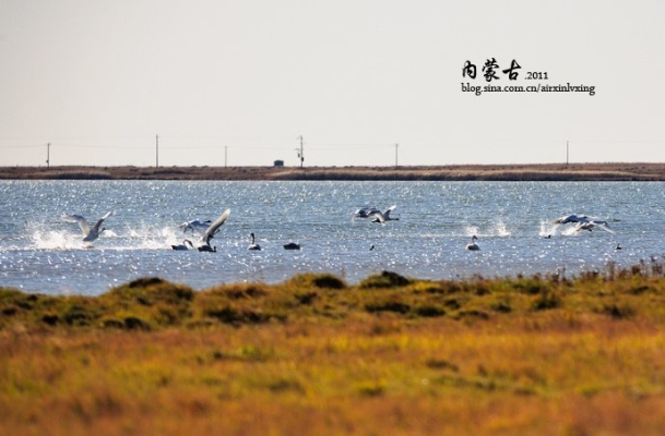 赤峰天鵝湖購票指南電話號碼-第1張圖片