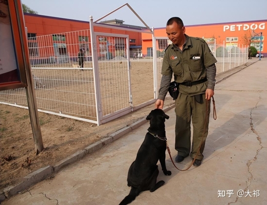 赤峰有沒(méi)有訓(xùn)犬師傅電話地址-第1張圖片