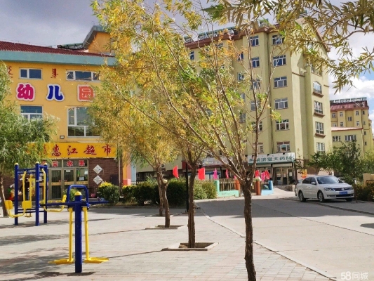 赤峰出售鹿犬電話號碼多少-第1張圖片