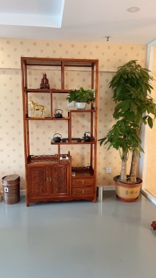 赤峰平莊正骨推拿店電話號碼-第1張圖片