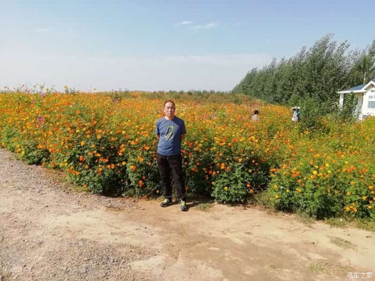 赤峰橋北花海景區(qū)電話號碼-第1張圖片