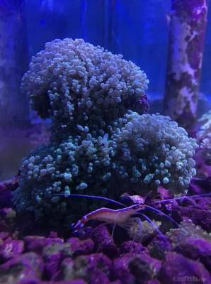 赤峰鑫源水族館電話號碼-第1張圖片
