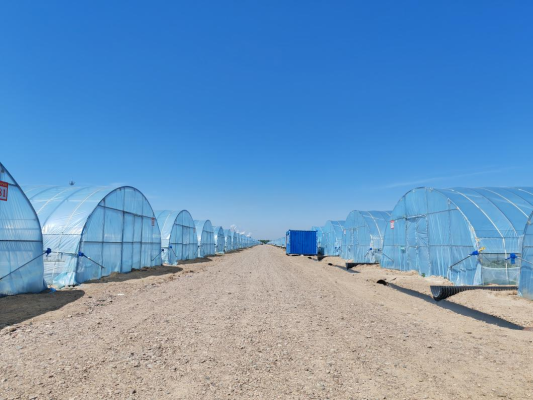 赤峰大棚種植戶(hù)電話(huà)多少號(hào)-第1張圖片