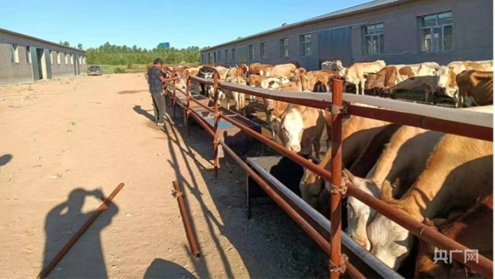 赤峰養(yǎng)牛技術(shù)交流群電話號(hào)碼-第1張圖片