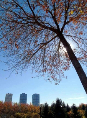 張家灣到赤峰班車電話號碼-第1張圖片