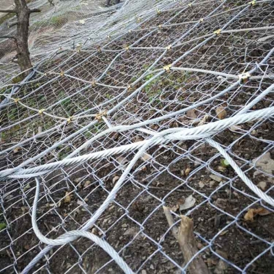 赤峰寵物籠子出租電話多少號-第1張圖片